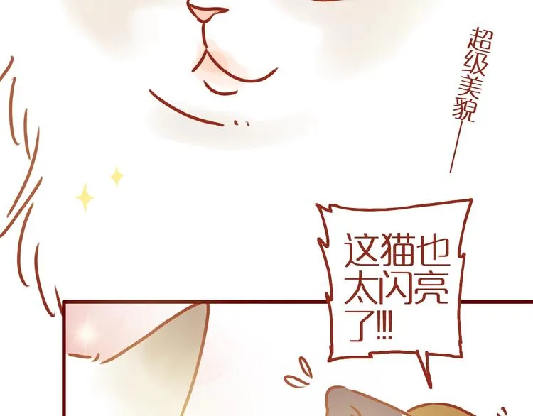 第17话 这猫不得了 第55页