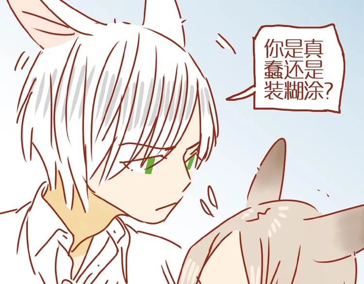 第17话 这猫不得了 第145页