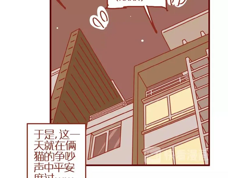 第14话 又有新猫啦！ 第18页