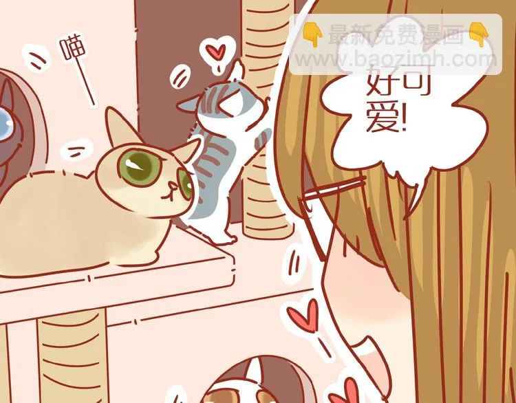 第14话 又有新猫啦！ 第30页