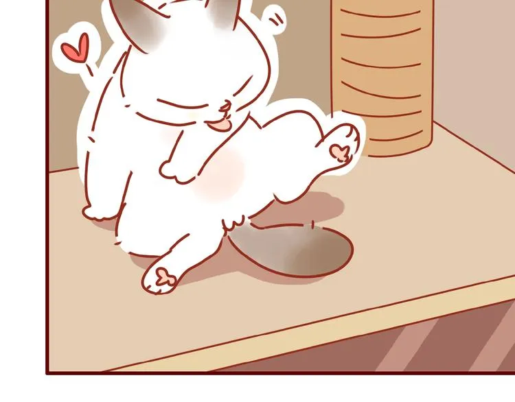 第14话 又有新猫啦！ 第35页