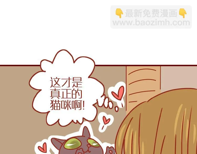 第14话 又有新猫啦！ 第36页