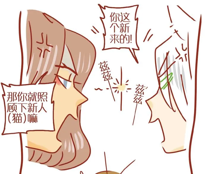 第14话 又有新猫啦！ 第40页