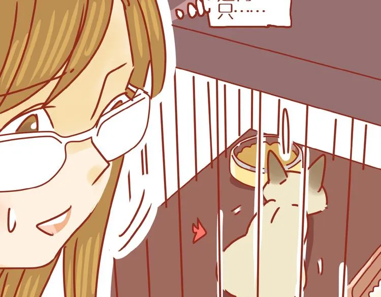 第14话 又有新猫啦！ 第42页