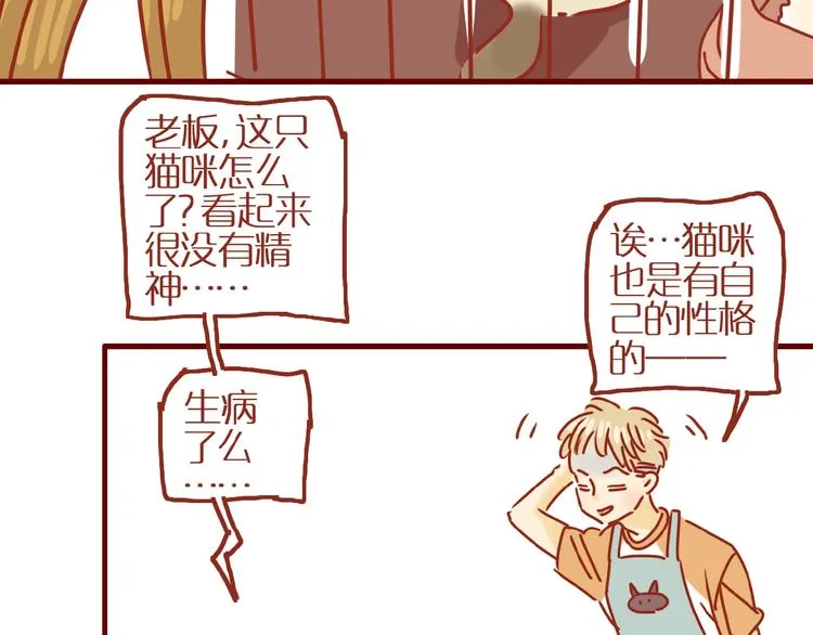 第14话 又有新猫啦！ 第43页