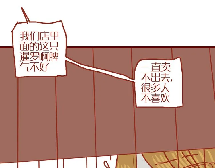 第14话 又有新猫啦！ 第45页
