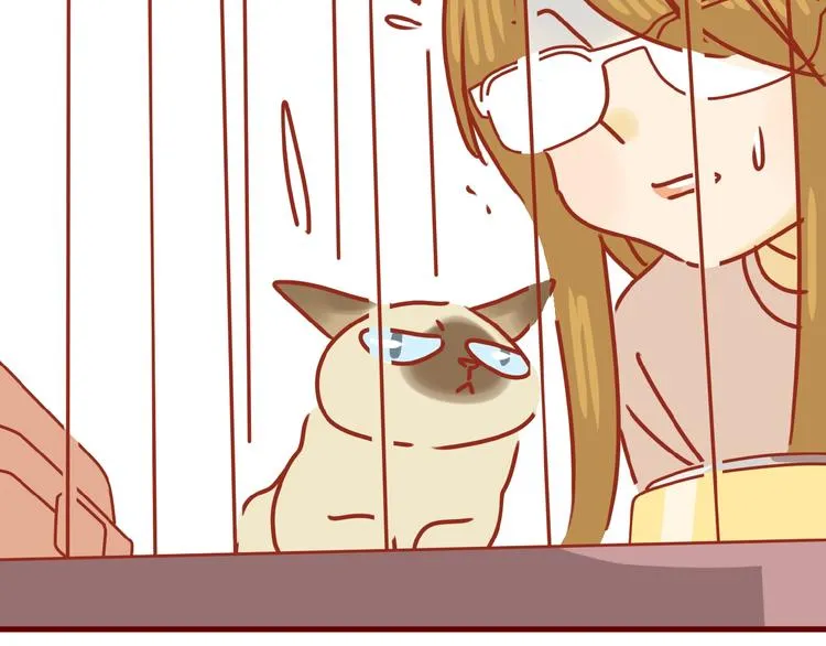 第14话 又有新猫啦！ 第46页