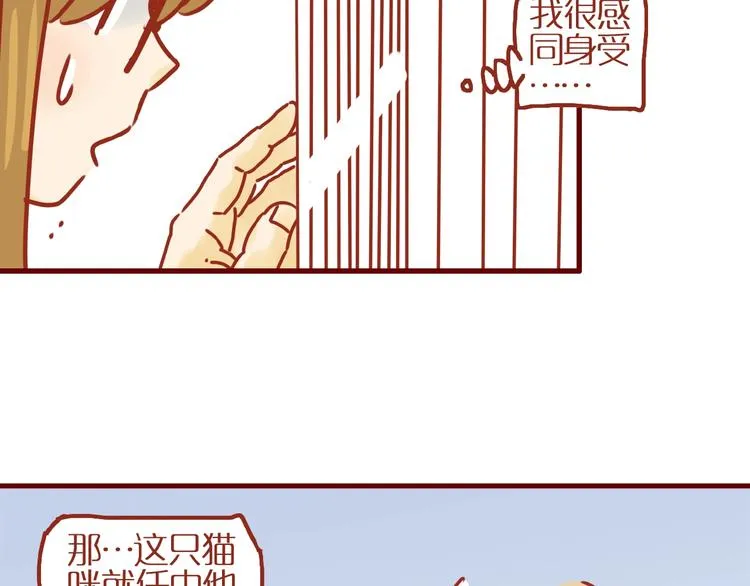第14话 又有新猫啦！ 第52页