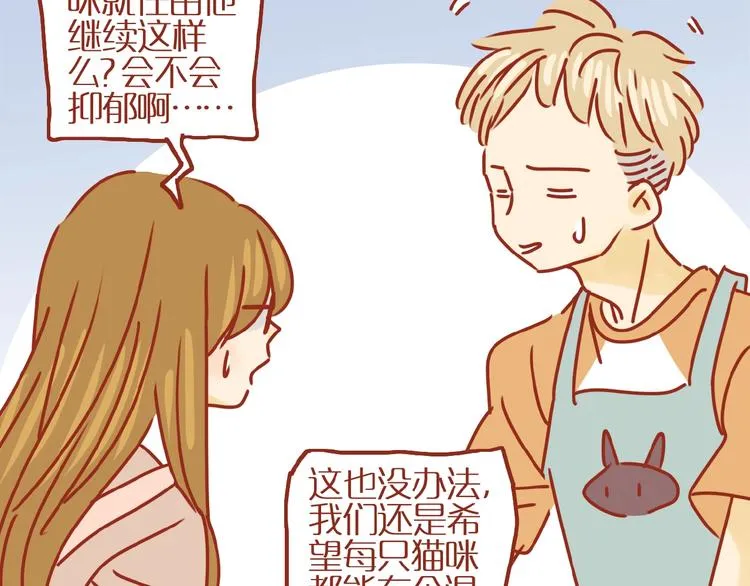 第14话 又有新猫啦！ 第53页