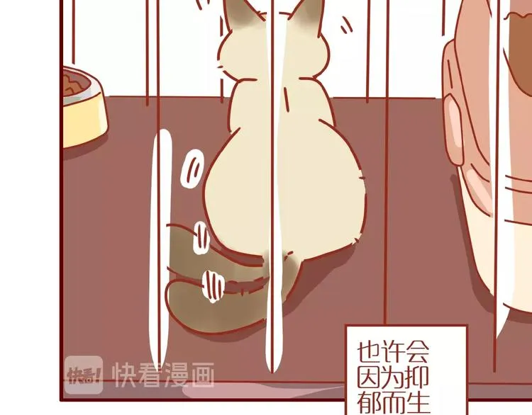 第14话 又有新猫啦！ 第55页