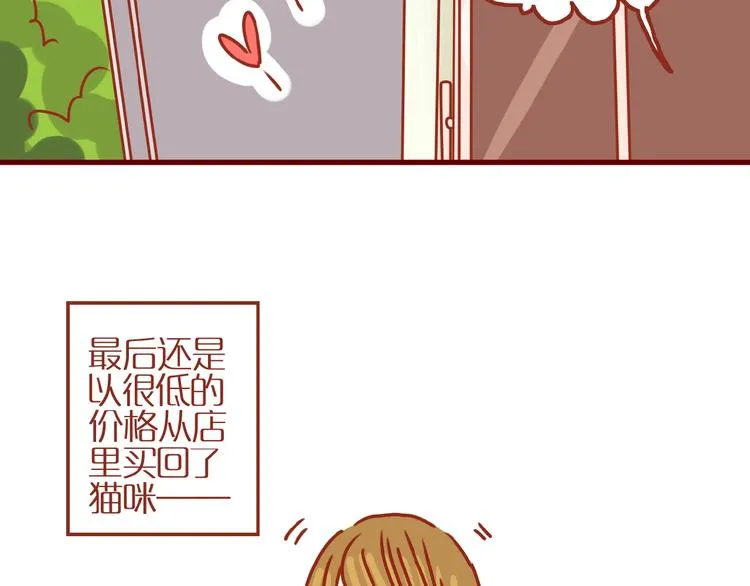 第14话 又有新猫啦！ 第61页