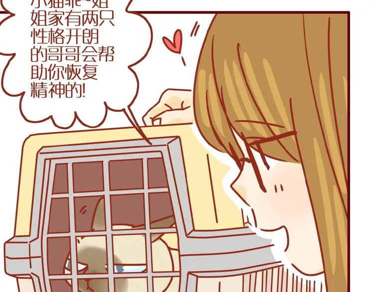 第14话 又有新猫啦！ 第64页