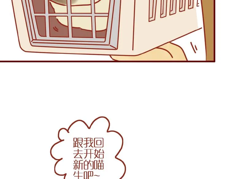 第14话 又有新猫啦！ 第65页