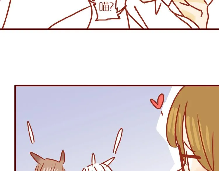 第14话 又有新猫啦！ 第70页