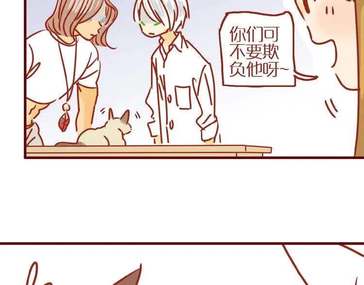 第14话 又有新猫啦！ 第71页