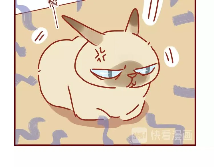 第14话 又有新猫啦！ 第74页