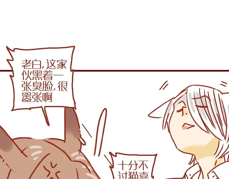 第14话 又有新猫啦！ 第75页