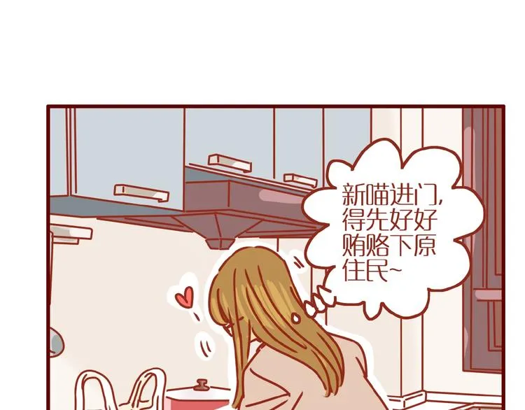 第14话 又有新猫啦！ 第79页