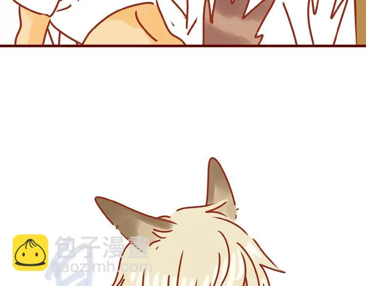 第14话 又有新猫啦！ 第84页
