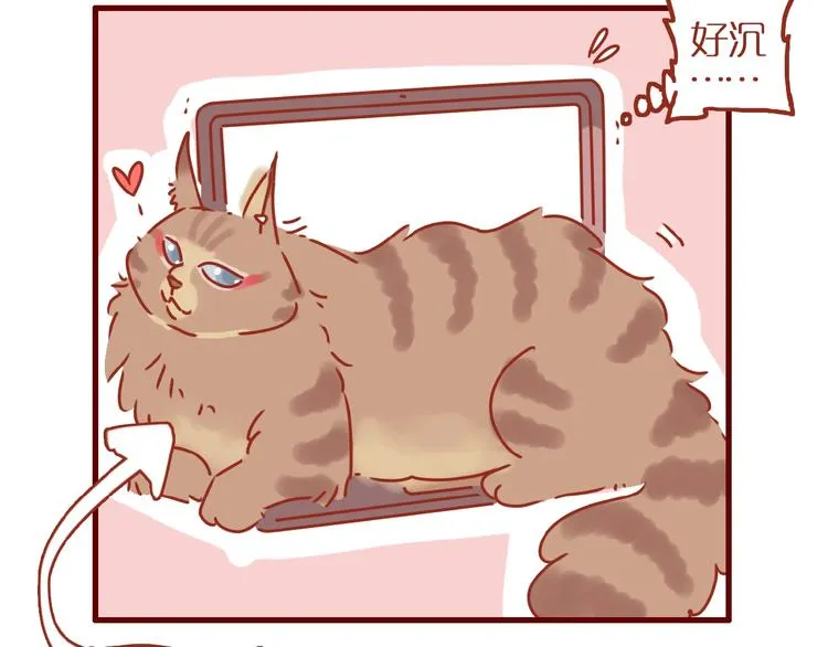 第13话 猫咪争宠 第7页