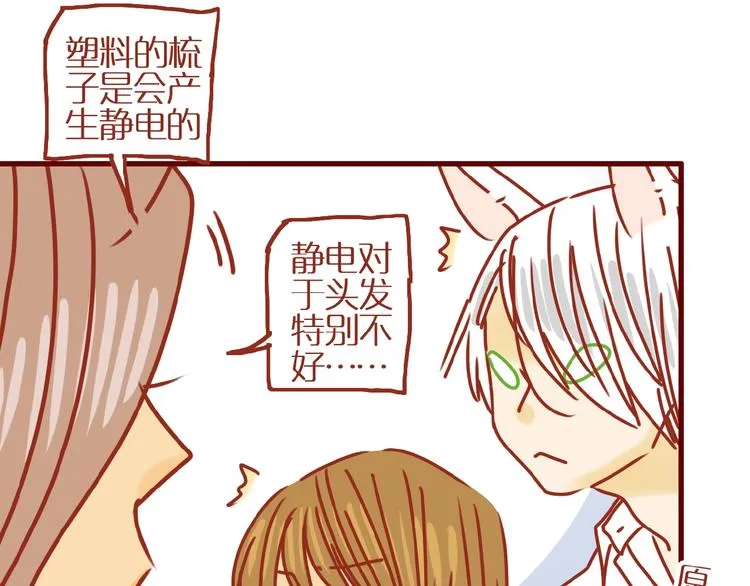 第13话 猫咪争宠 第27页