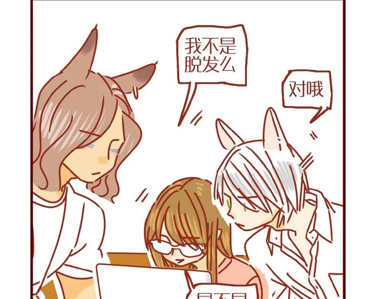 第13话 猫咪争宠 第37页