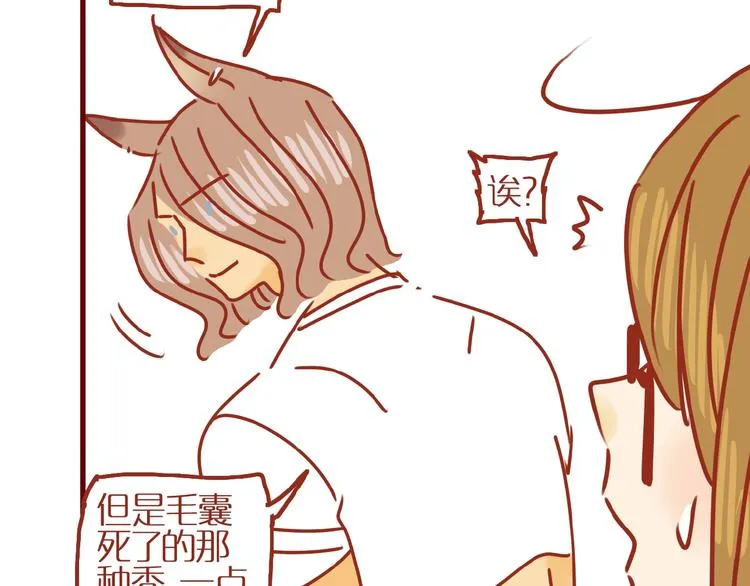 第13话 猫咪争宠 第41页