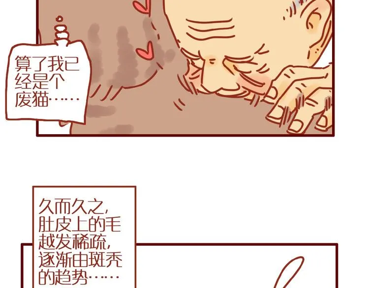 第9话 拒绝过度吸猫 第33页