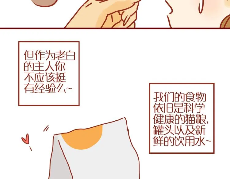 第9话 拒绝过度吸猫 第59页