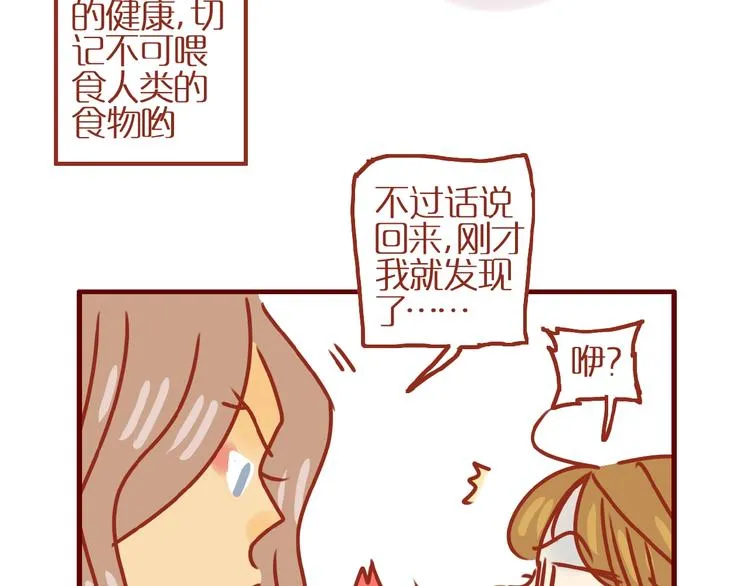 第9话 拒绝过度吸猫 第61页