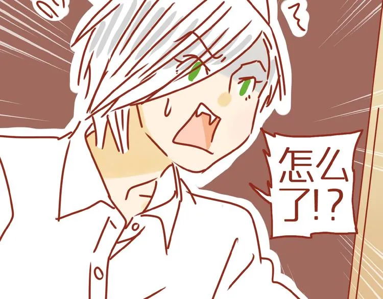 第8话 新猫旧猫 第7页