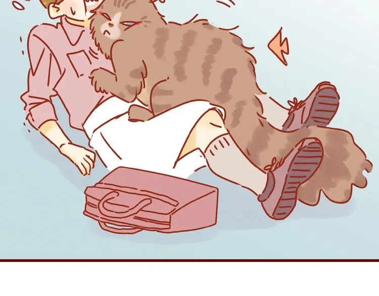 第8话 新猫旧猫 第10页