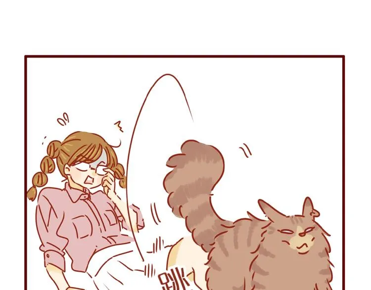 第8话 新猫旧猫 第12页