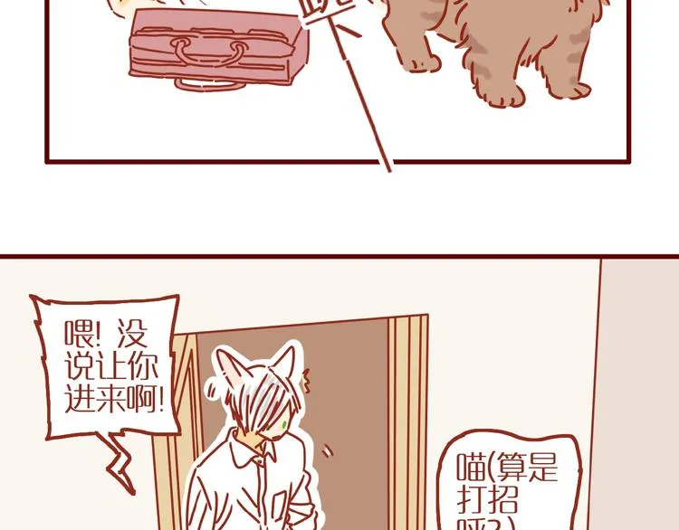 第8话 新猫旧猫 第13页
