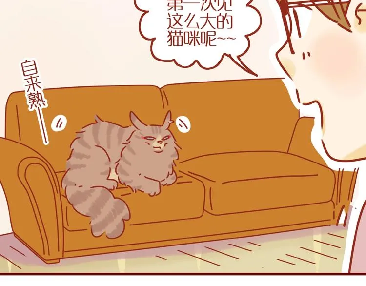 第8话 新猫旧猫 第17页