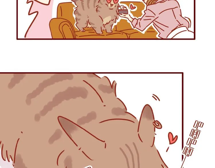 第8话 新猫旧猫 第23页