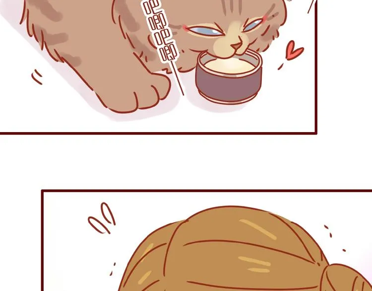 第8话 新猫旧猫 第24页