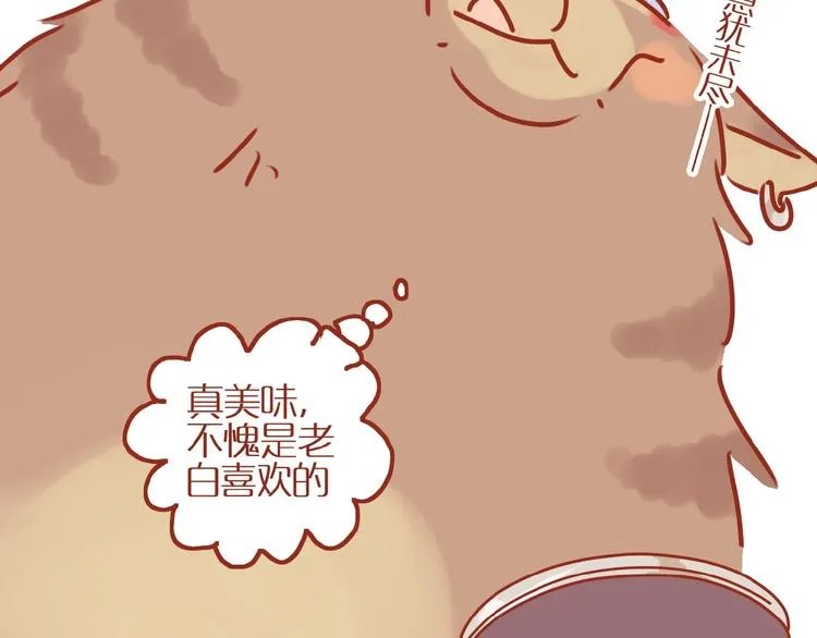 第8话 新猫旧猫 第29页