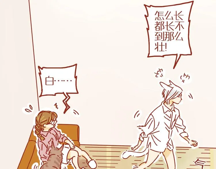 第8话 新猫旧猫 第42页