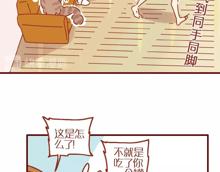 第8话 新猫旧猫 第43页