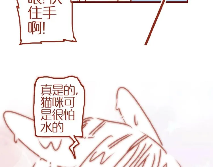 番外 怕水的猫咪 第26页