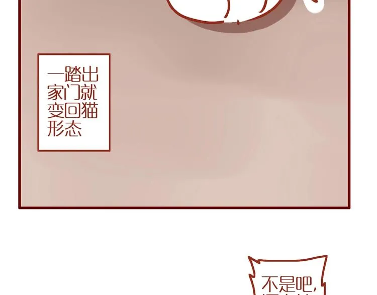 第6话 猫咪帮忙买买买 第48页