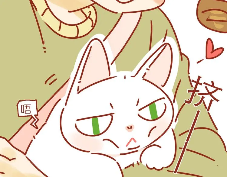 第6话 猫咪帮忙买买买 第52页