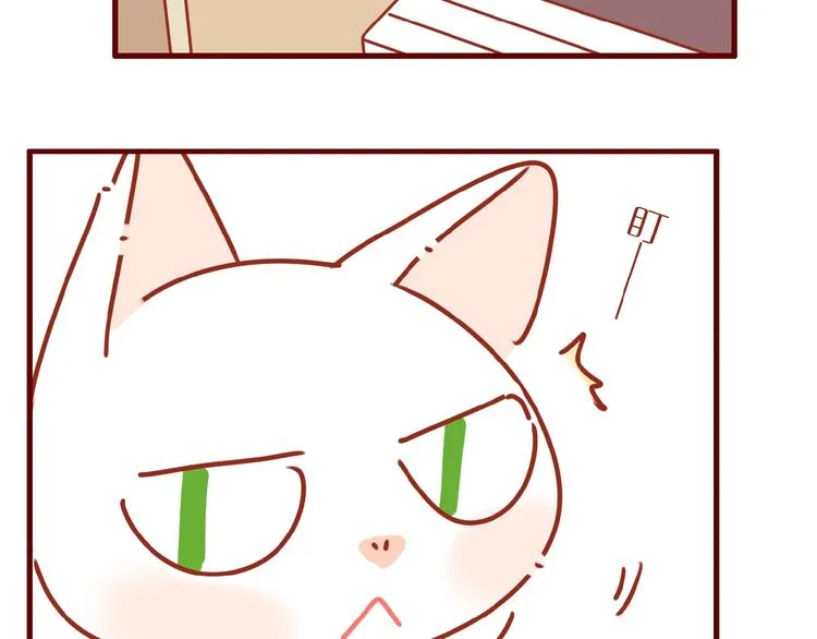 第6话 猫咪帮忙买买买 第65页