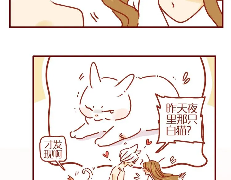 第2话 捡到一只小白猫 第15页