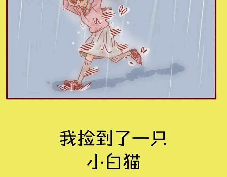 序章 猫咪美妆天团，驾到！ 第15页