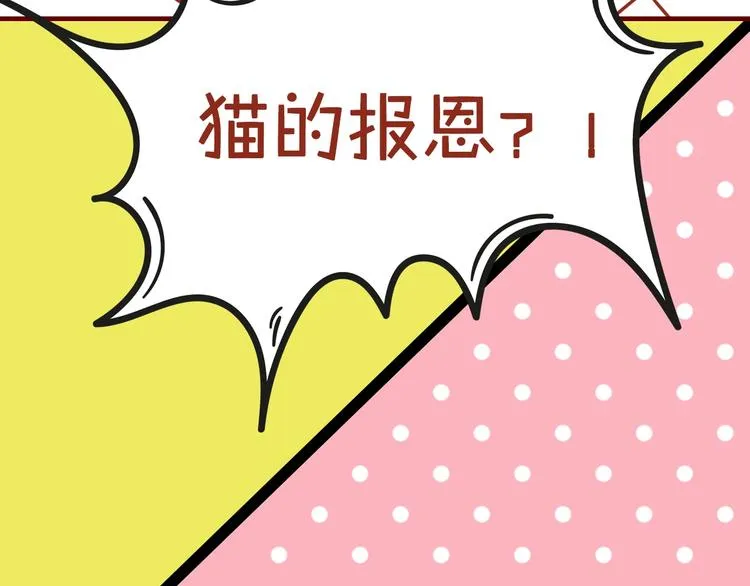 序章 猫咪美妆天团，驾到！ 第26页