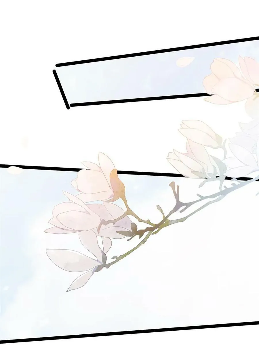097 第41页