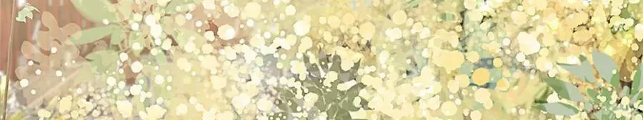 100 第67页