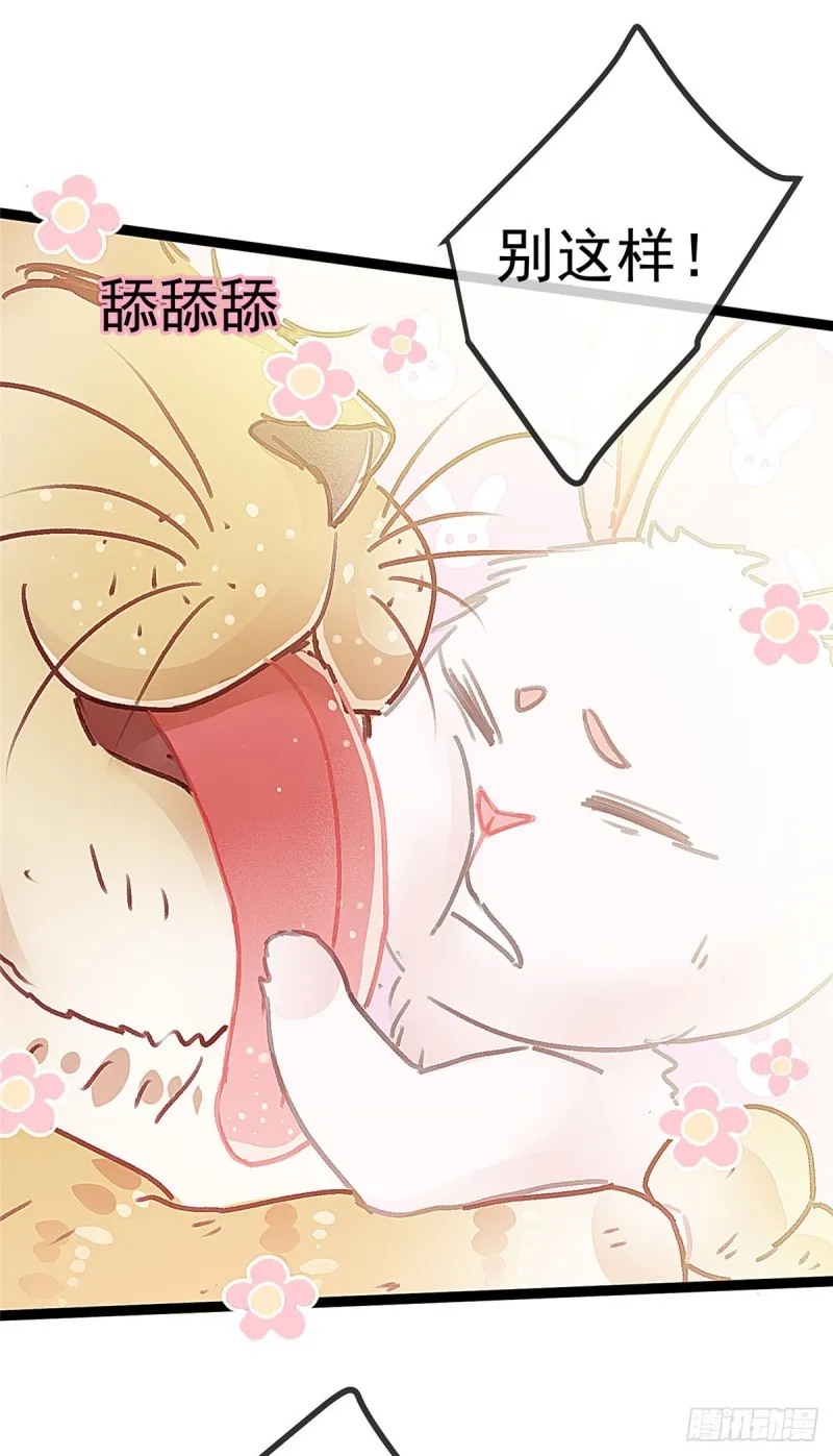 026 第27页